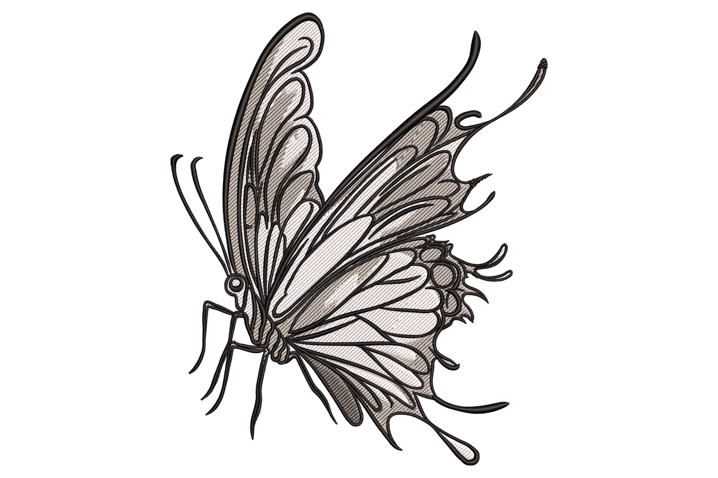 Machine embroidery design of a butterfly with intricate black line art wing detail on cream fill, scientific illustration style, 9 sizes up to 7.51 inches