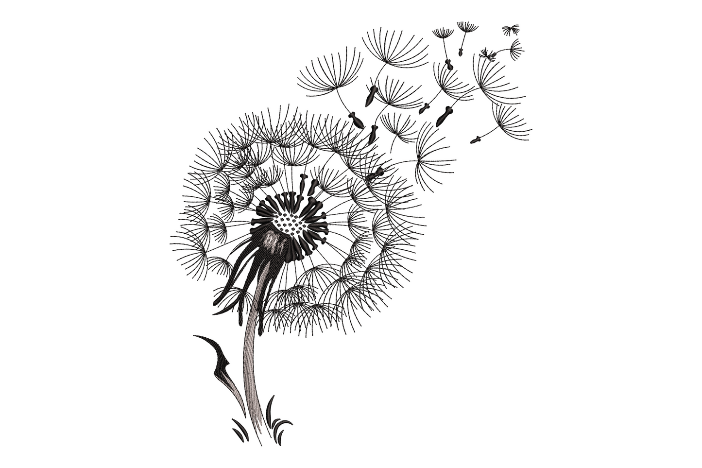 Blowing dandelion seeds embroidery design, fine ink-sketch style with radiating spokes and floating pappus seeds in charcoal and grey.