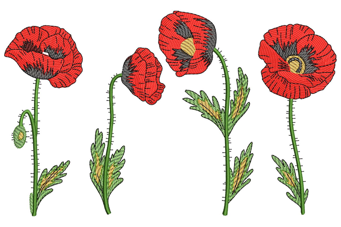 Botanical poppy bloom embroidery design with five red poppies in bud and full bloom, dark centres, green serrated stems and mustard pollen.