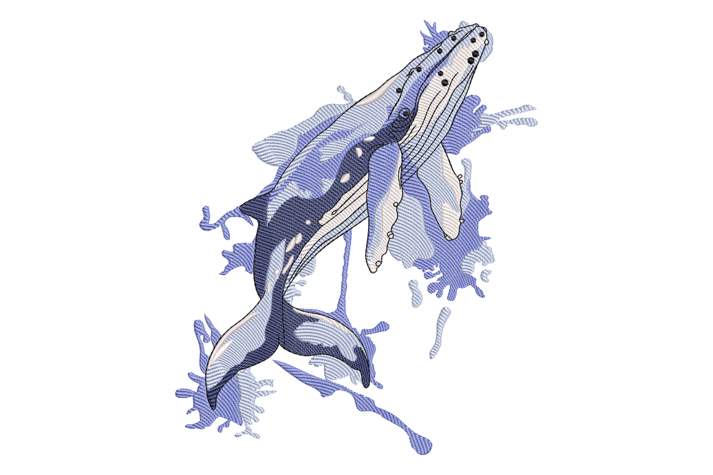 Breaching humpback whale embroidery design, three-tone blue body with white spray and black markings, diagonal breach pose.