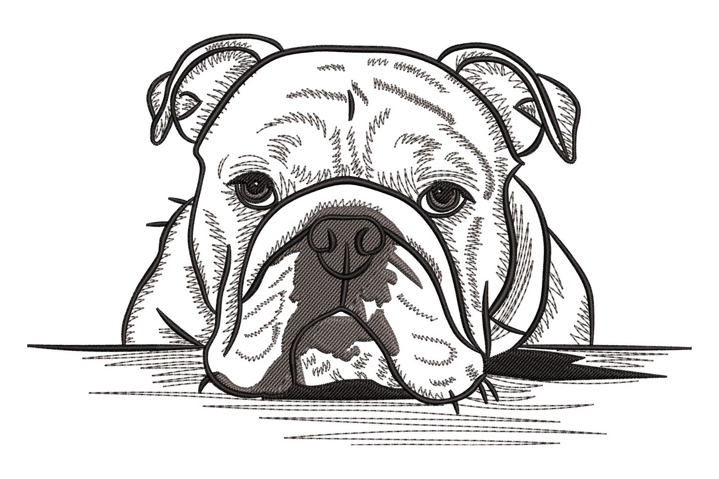 Bulldog face embroidery design in pen-etching sketch style, chin resting flat, staring forward, with fine crosshatch shading across the wrinkled forehead and wide jowls in black and grey.
