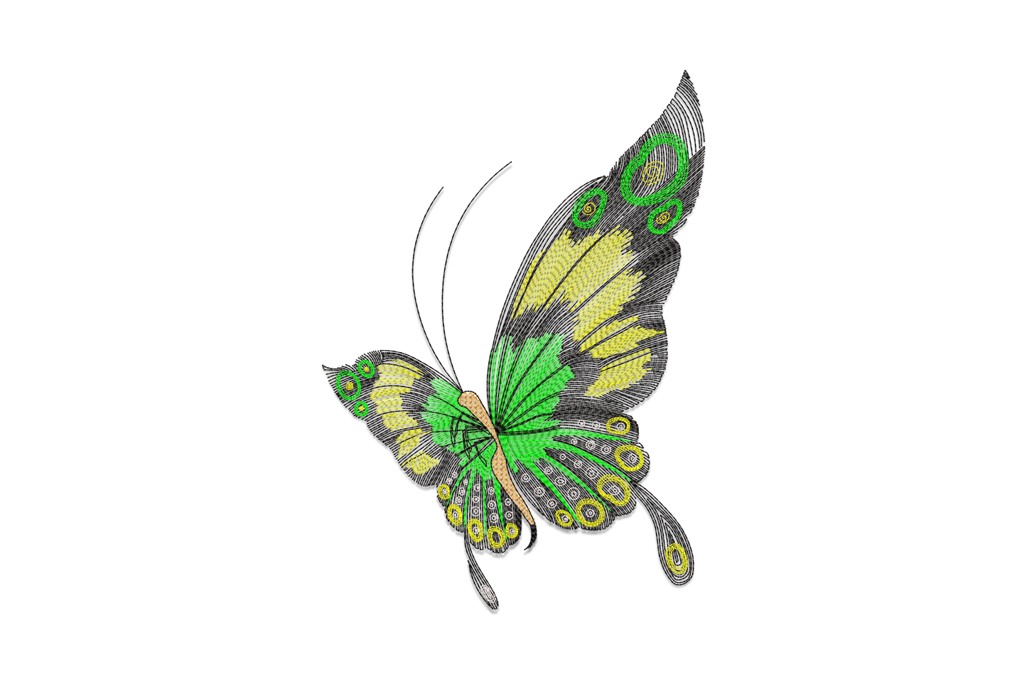 Spread wing butterfly embroidery in purple blue and orange gradient, black body and veins with white wing margin spots