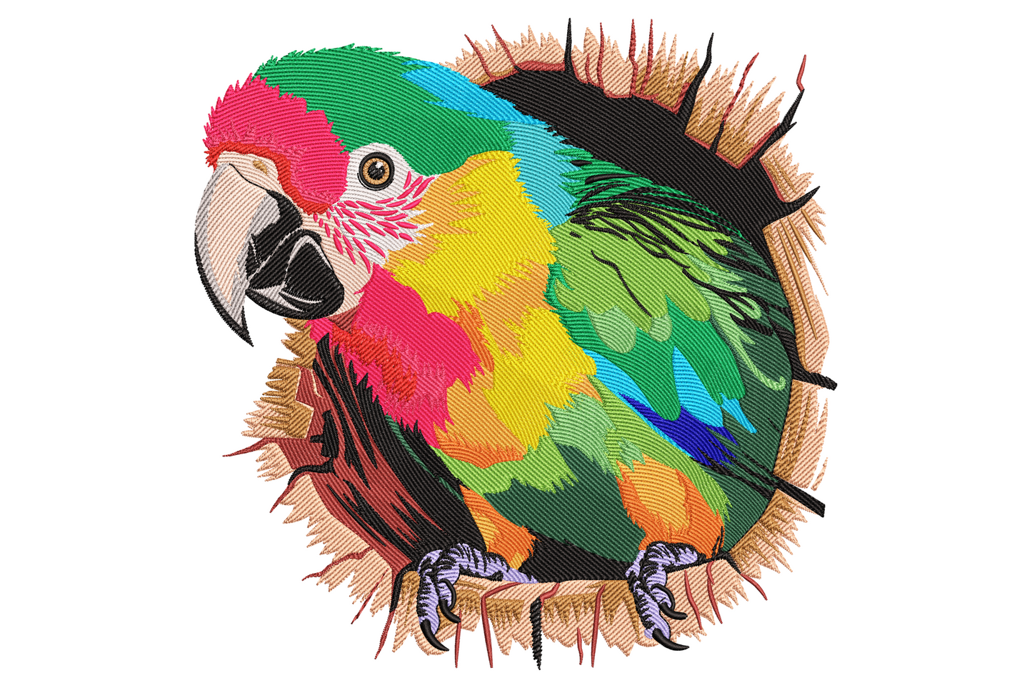 Colorful macaw parrot embroidery in circular torn-edge frame, 21 thread colours including crimson, lime green and sky blue.