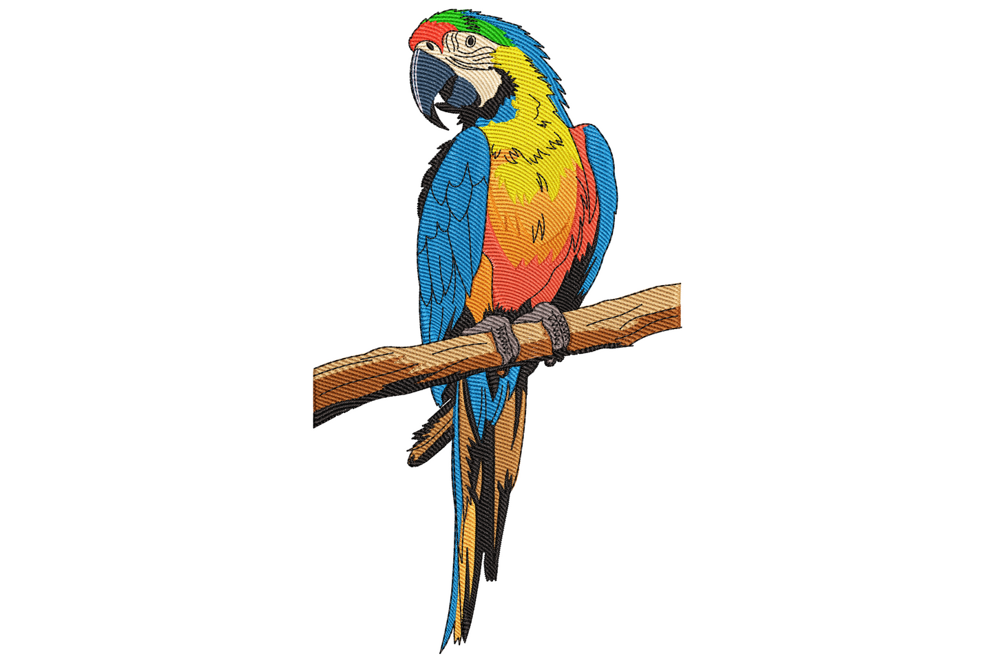 Colorful parrot on branch embroidery with blue wing and tail, mustard yellow chest, red back patch and green crown perched on wood branch.