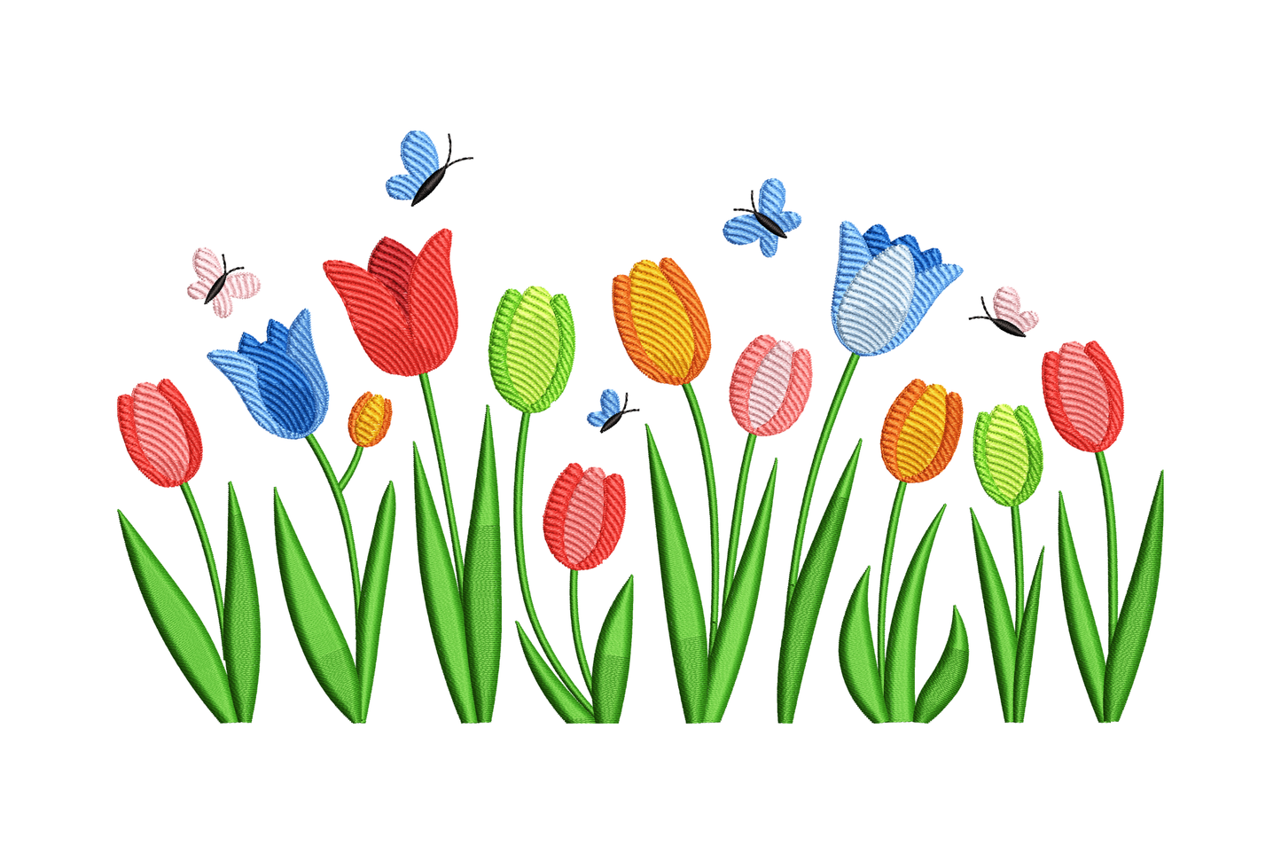 Colorful tulips with butterflies on a white background