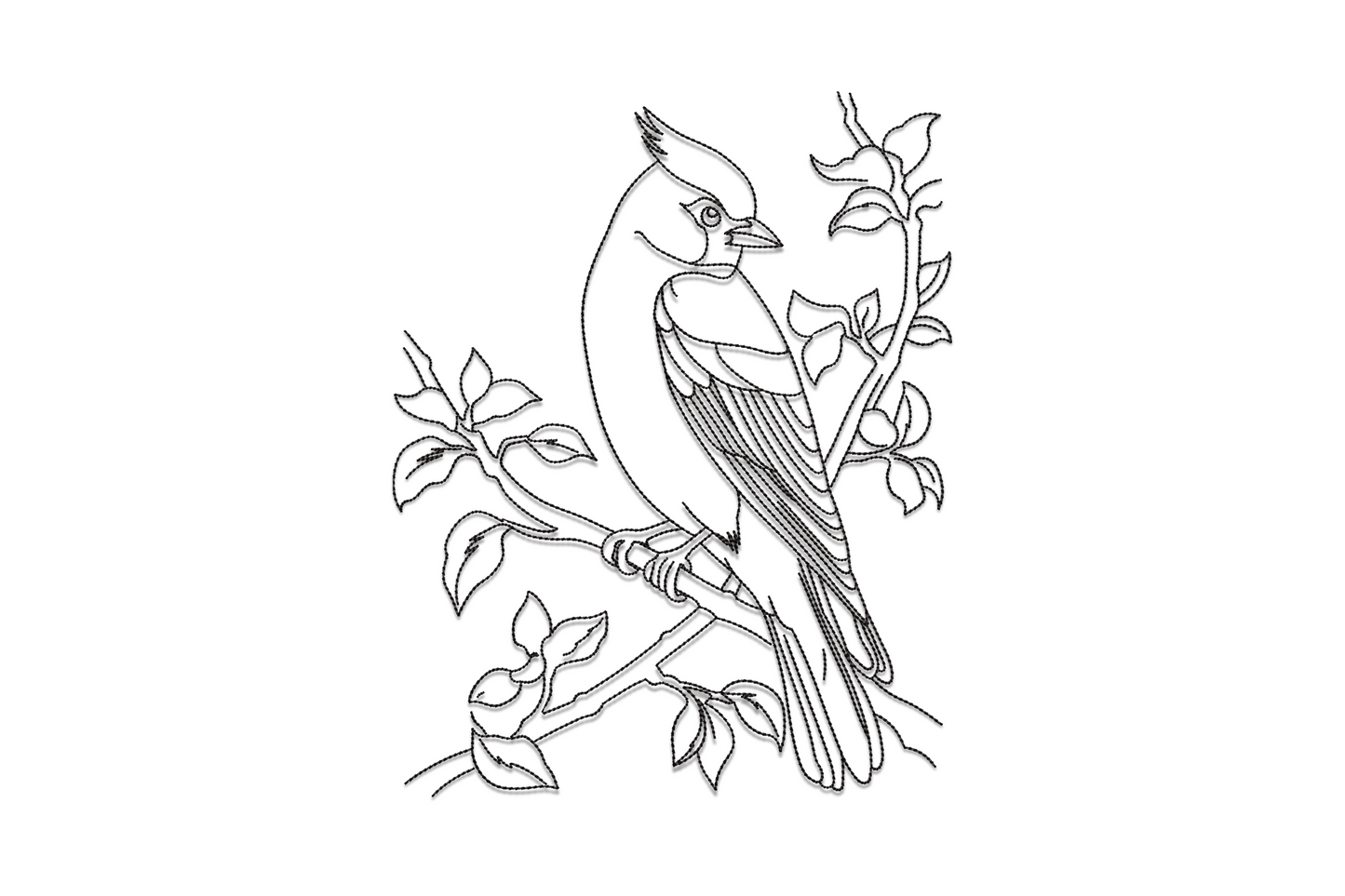 Cardinal bird outline embroidery design perched on leafy branch in detailed line work, single-colour black machine embroidery