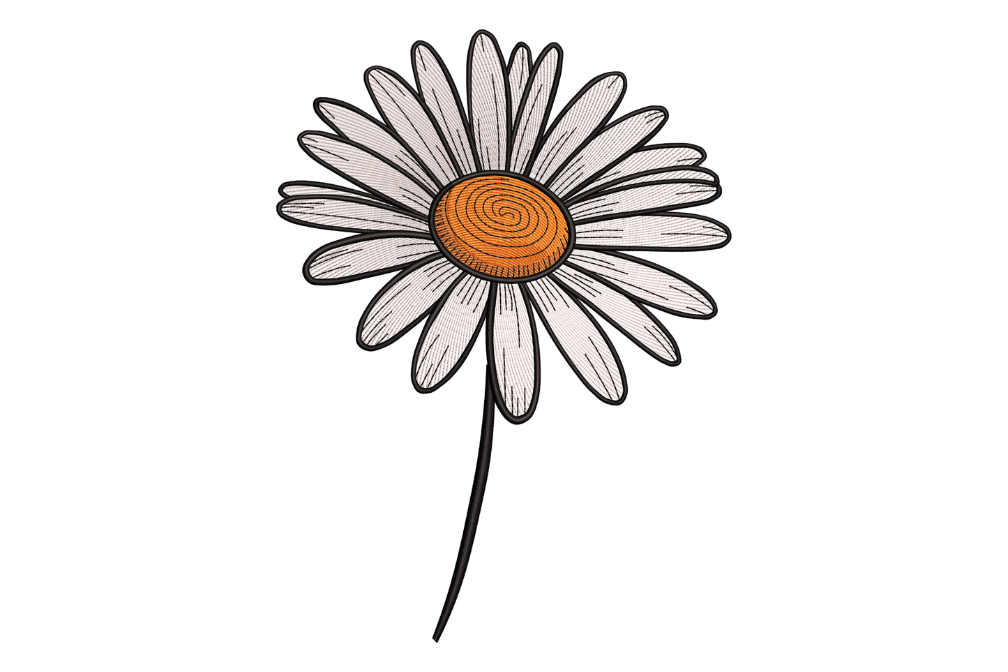 Illustration of a daisy flower with a white petals and brown center on a white background