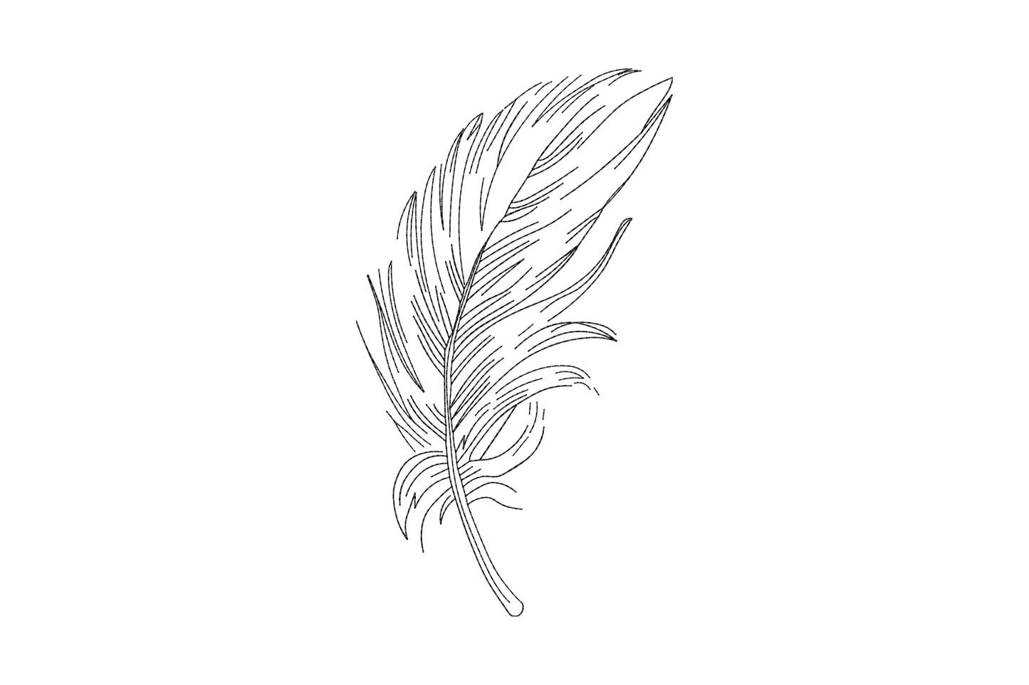 Single colour black feather outline embroidery design, wispy hand drawn quill barbs in running stitch sketch style.