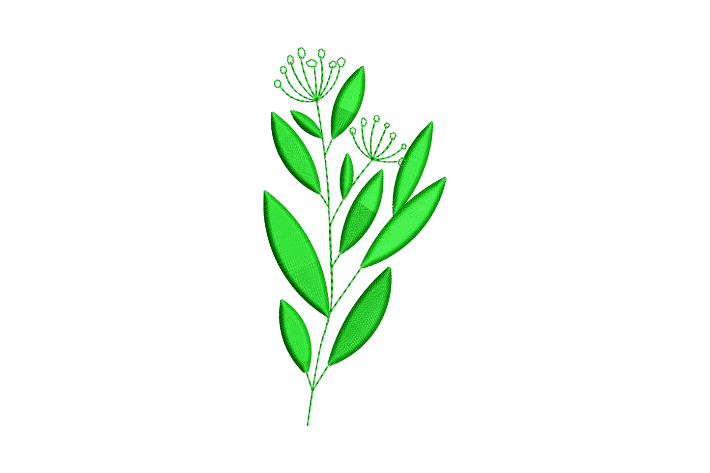 Floral leaf spray embroidery, broad pointed leaves with two umbellifer seed heads of tiny open bud rings in dark green