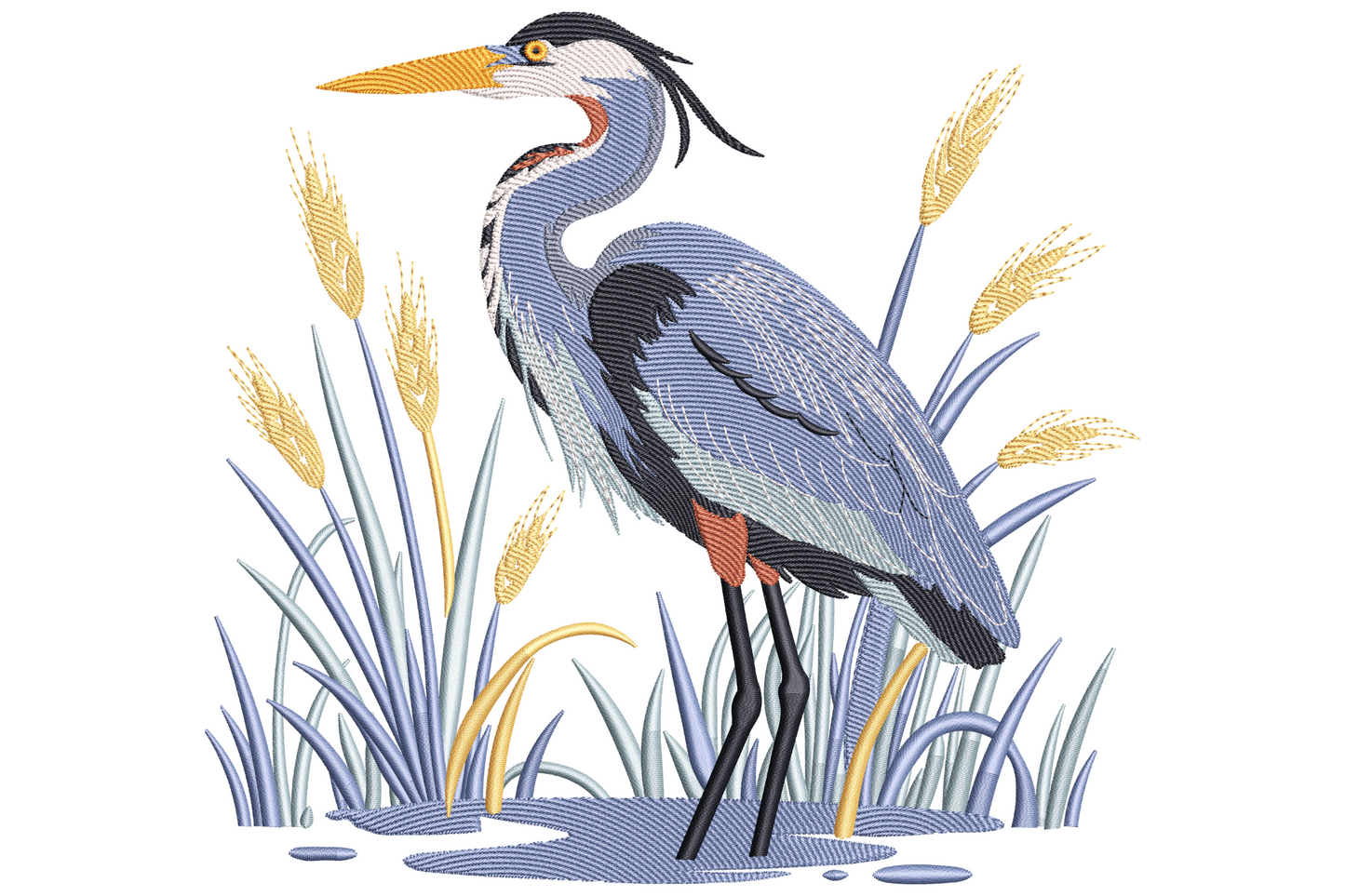 Tall great blue heron standing in shallow marsh water with wheat stalks and reeds around its long thin legs