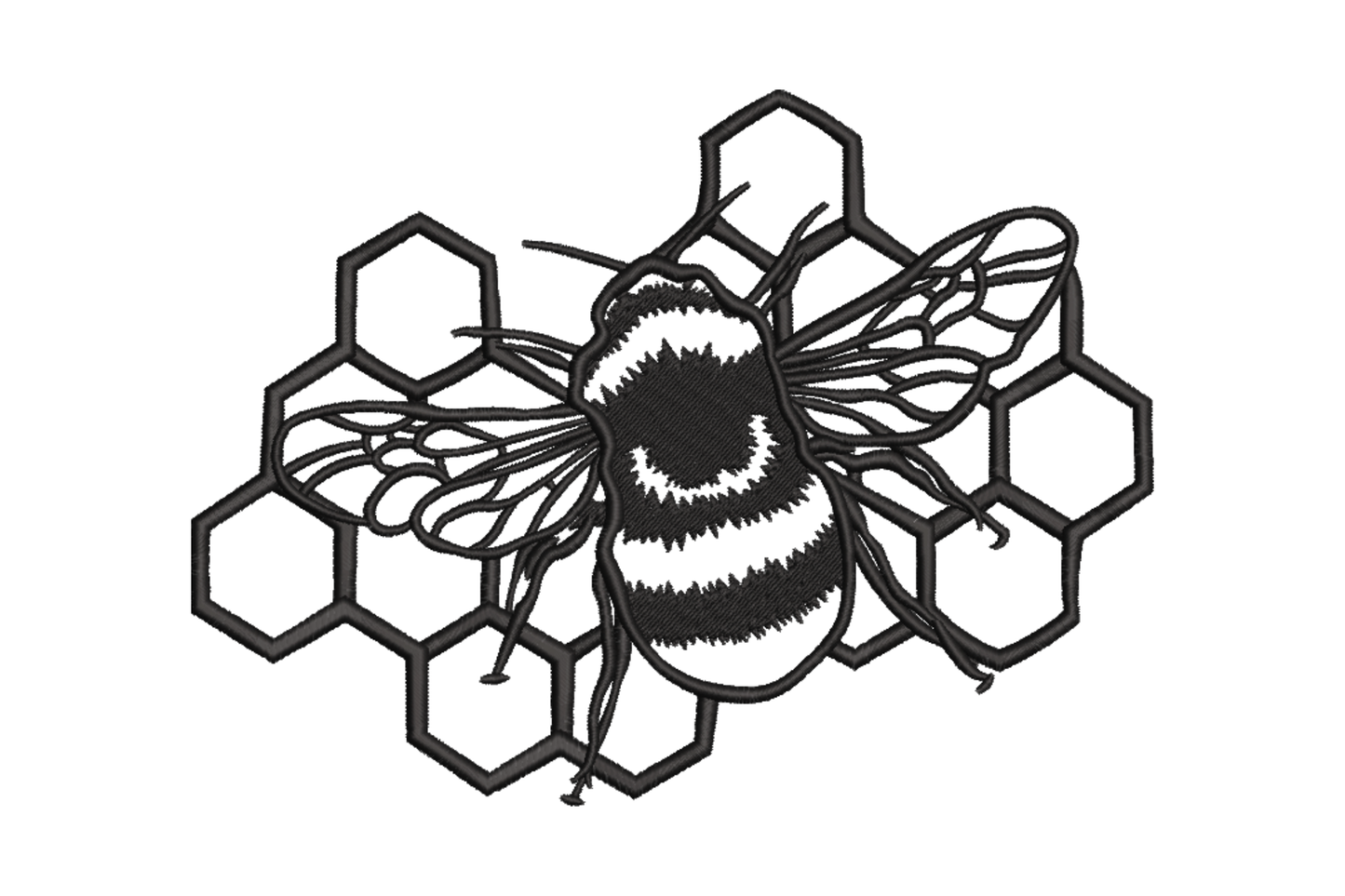 Honey bee on honeycomb cells, detailed wing veins, naturalist line-work style, single black thread embroidery