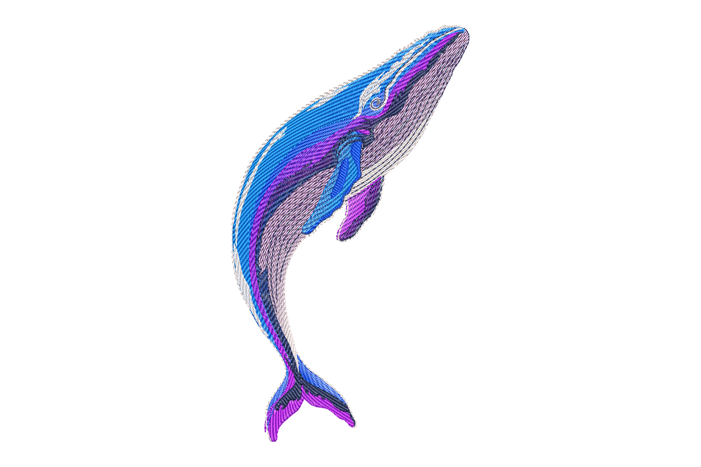 Humpback whale machine embroidery design in electric blue and violet gradient with directional stitch fills and white belly, 9 sizes.