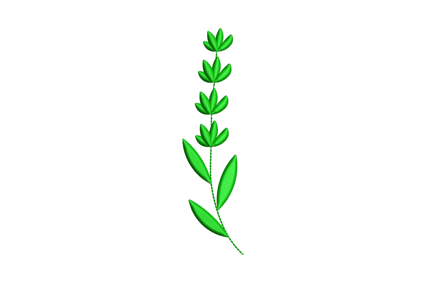 Tall narrow herb stem embroidery in solid dark green, four small paired leaf clusters on the stem with two long leaves at the base