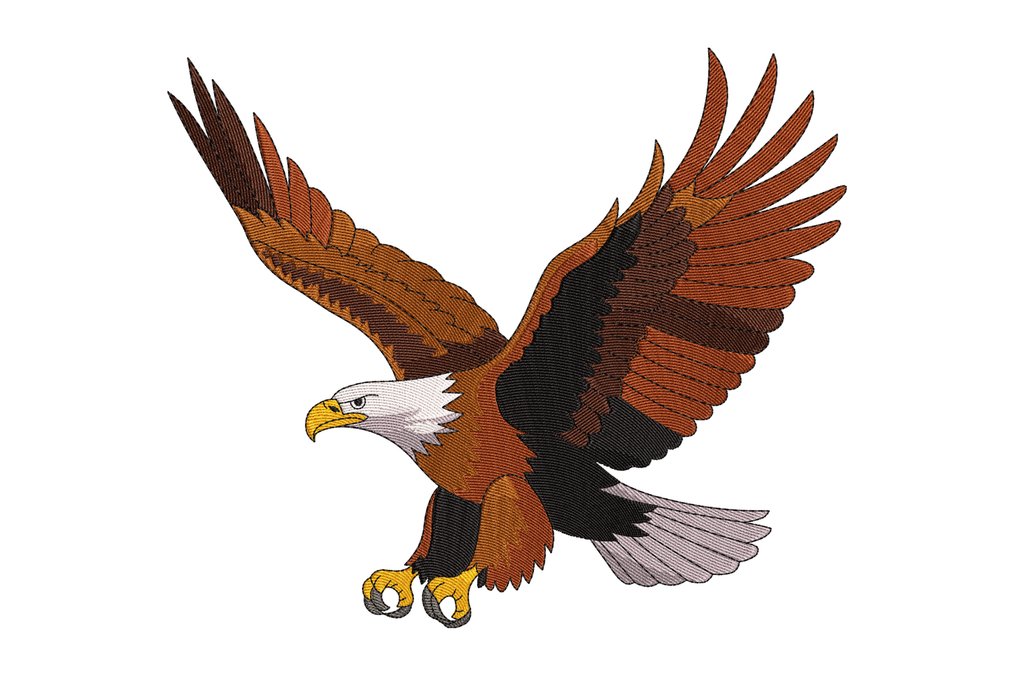 Illustration of a bald eagle in flight on a white background