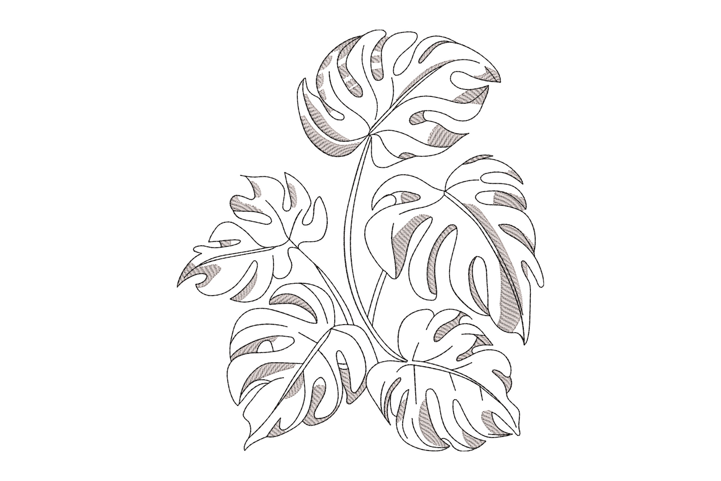 Single monstera leaf line art two colour, thin outline stroke and interior vein detail, modern botanical embroidery design on white background