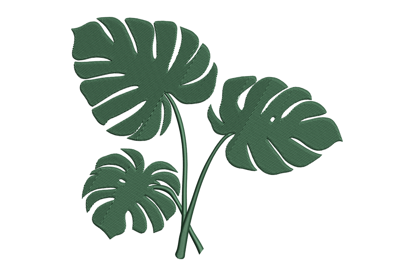 Cluster of overlapping monstera leaves with fenestration cuts, dense satin fill single colour, bold tropical botanical embroidery design