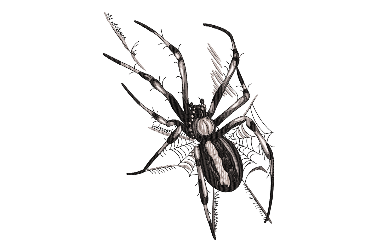 Machine embroidery realistic spider design, top-down view with eight spread legs, five colour zones in charcoal brown ochre and cream, solid density satin stitch insect style.