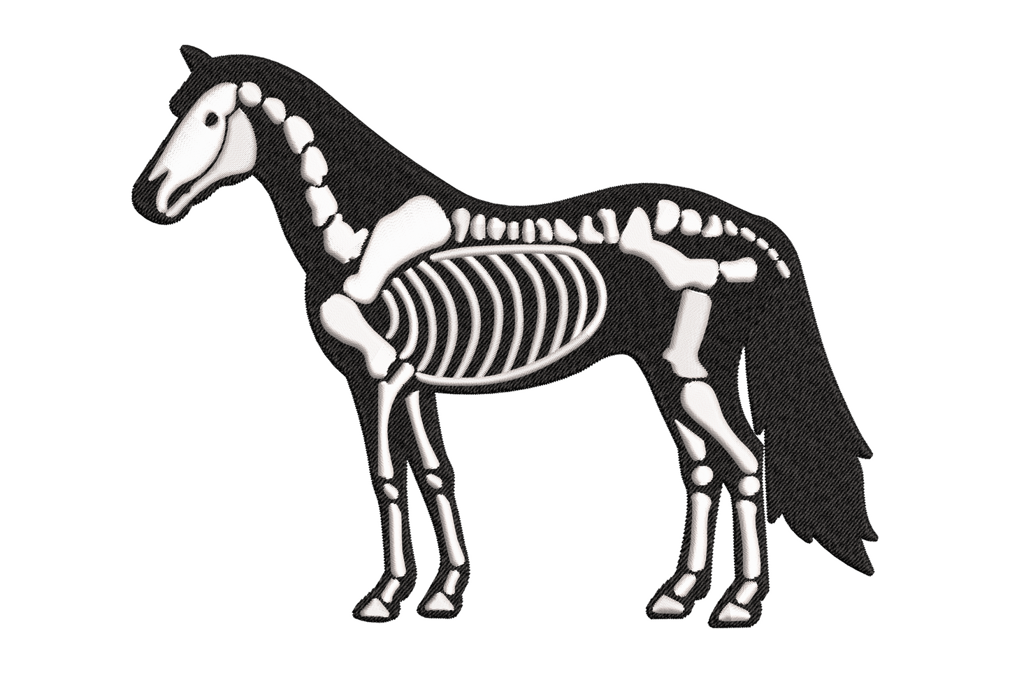 Halloween skeleton horse embroidery design, black horse silhouette with white bone anatomy inside, 2 colors, 5 sizes
