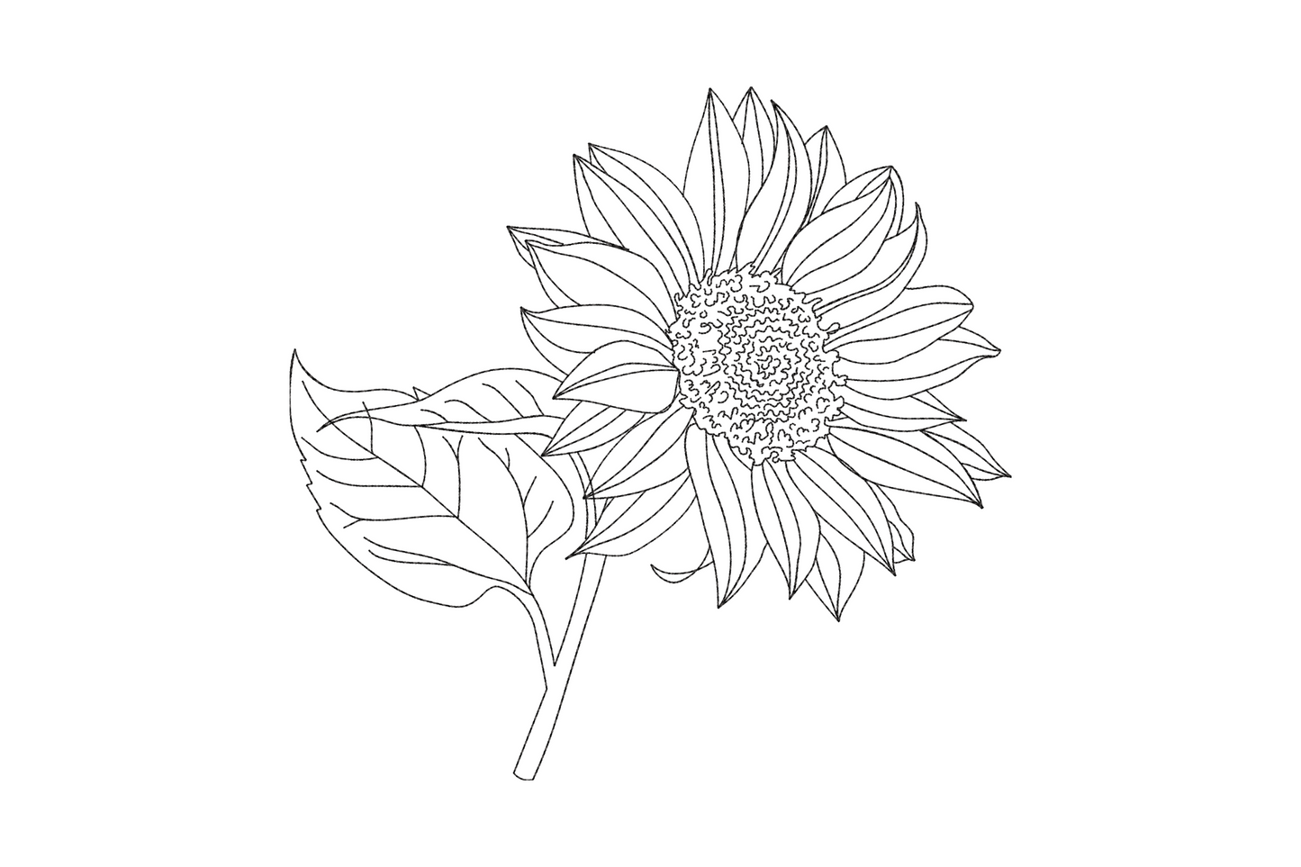 Sunflower line art in black thread, single tilted bloom with stippled centre and curling leaf off lower stem.