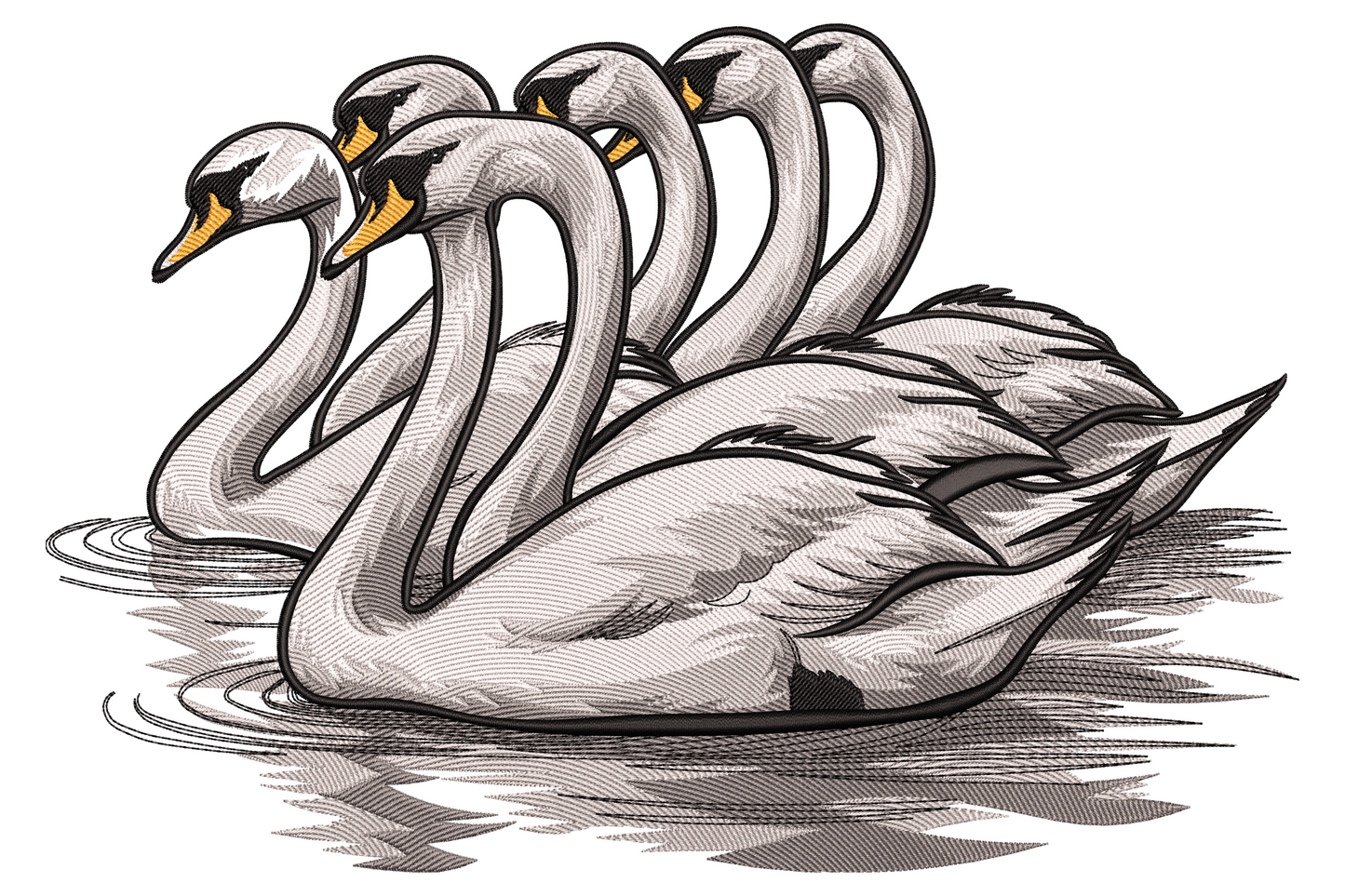 Swan group embroidery design with five mute swans in vintage engraving linework, orange beaks and grey water ripples.
