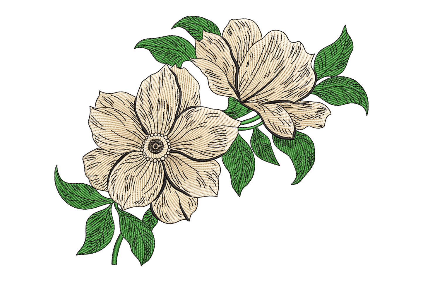 Vintage magnolia flower embroidery, open petals in cream white and blush pink on sage green leaves, botanical style