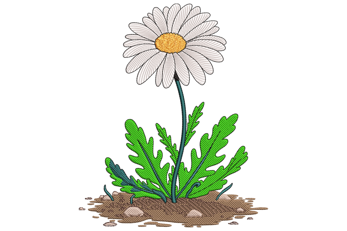 Wild garden daisy embroidery design with white petals, orange centre, serrated leaves and soil base growing from ground, 9 sizes.