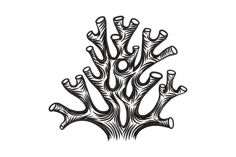 Abstract coral branch machine embroidery design, single colour coastal botanical motif with branching arms and fine tips
