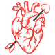 Anatomical Heart with Arrow Embroidery Design, Red Outline Pattern