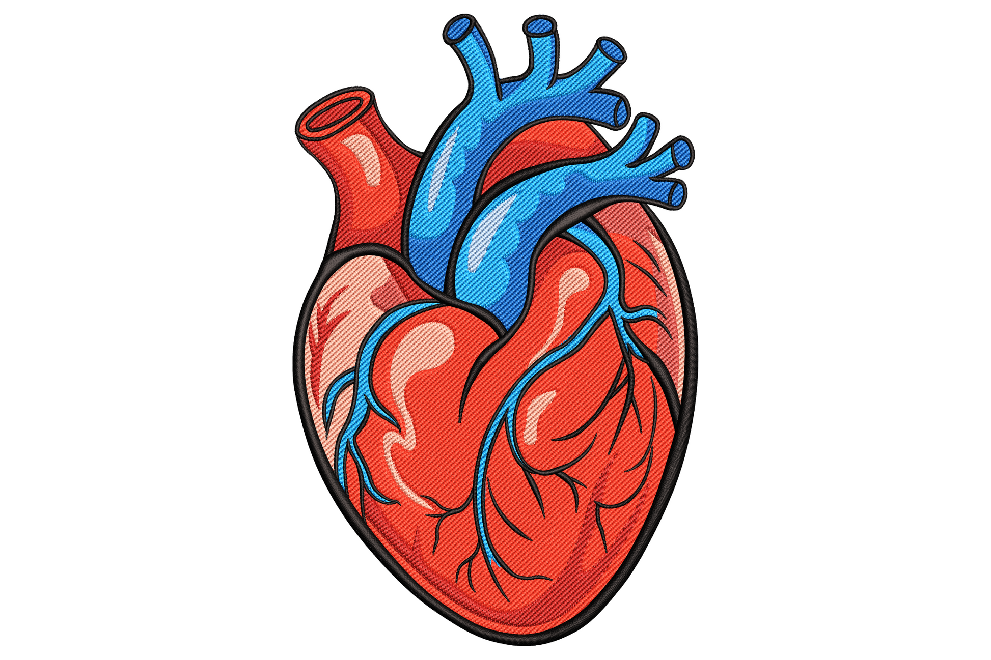Anatomical human heart embroidery design with crimson muscle, dusty rose vessels and vintage hatched shading.