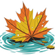 Autumn Leaf Floating on Water Embroidery Design, Instant Download