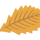 Autumn Leaf Embroidery Design, Instant Download