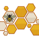 Bee Honeycomb Embroidery Design, Machine Embroidery Pattern, Instant Download