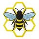 Beautiful Bee and Honeycomb Embroidery Design, Machine Embroidery Pattern, Instant Download