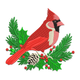 Beautiful Christmas Cardinal Embroidery Design, Instant Download
