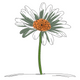 Daisy Flower Embroidery Design, Floral Machine Embroidery Pattern, Instant Download