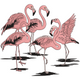 Flamingo Embroidery Design, Tropical Bird Machine Embroidery Pattern, Instant Download
