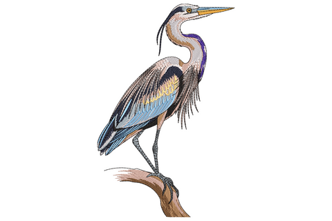 Great blue heron embroidery design standing on branch with S-curved neck, layered feather plumage in 12 colours, realistic wildlife illustration style.