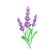 Lavender Flower Embroidery Design, Botanical Lavender Sprig Machine Embroidery Pattern