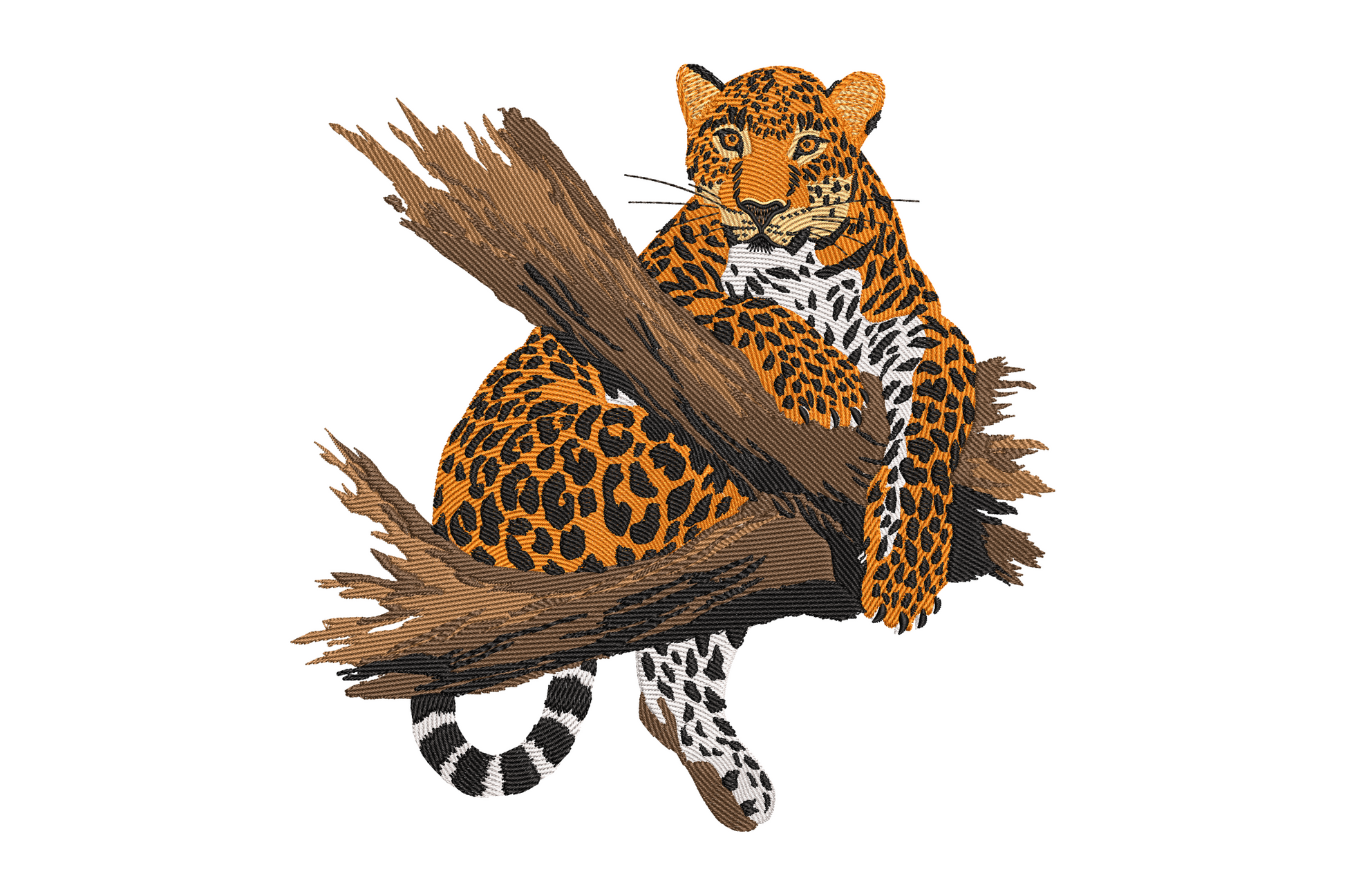 Realistic leopard embroidery design reclining on a tree branch, amber eyes facing forward, amber-orange body with black rosette spots and cream chest.