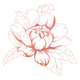 Beautiful Peony Flower Embroidery Design V2, Instant Download