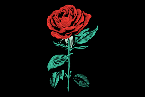Realistic red rose embroidery with full crimson bloom, teal leaves, botanical directional stitch detail on long stem.
