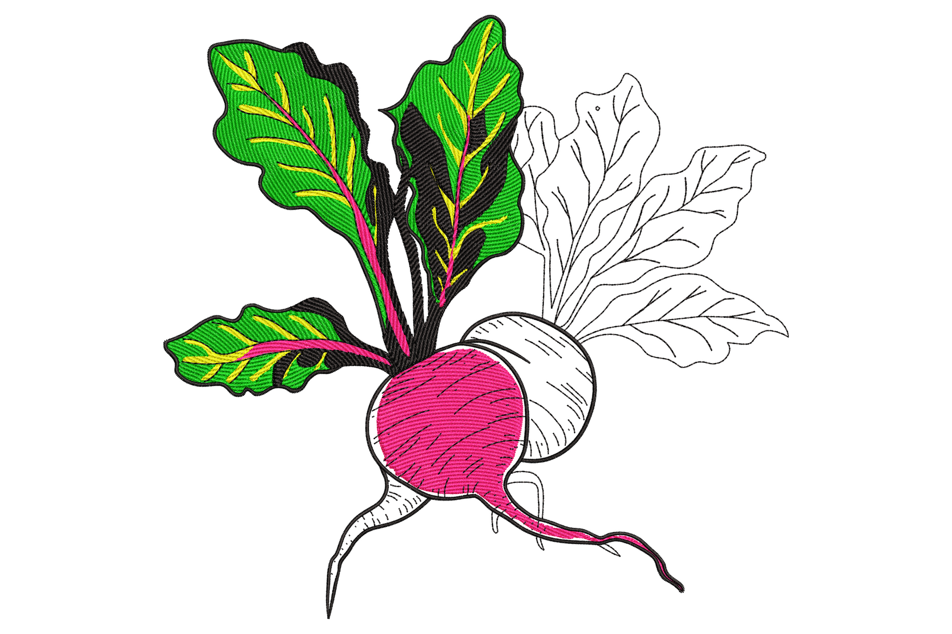 Beetroot embroidery design showing one filled magenta beet and one outline-only beet with dark green leaves, 9 sizes.