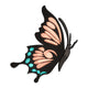 Black Butterfly Embroidery Design, Nature Machine Embroidery Pattern, Instant Download
