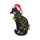 Black Cat Christmas Embroidery Design, Instant Download