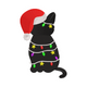Black Cat with Santa Hat Embroidery Design, Christmas Cat, Instant Download