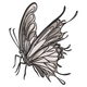 Black Line Art Butterfly Embroidery Design, Instant Download