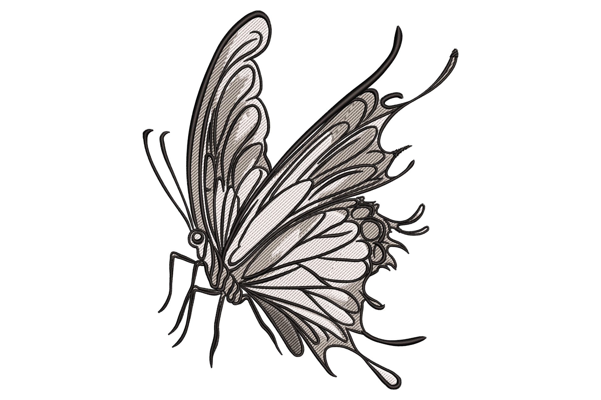 Machine embroidery design of a butterfly with intricate black line art wing detail on cream fill, scientific illustration style, 9 sizes up to 7.51 inches