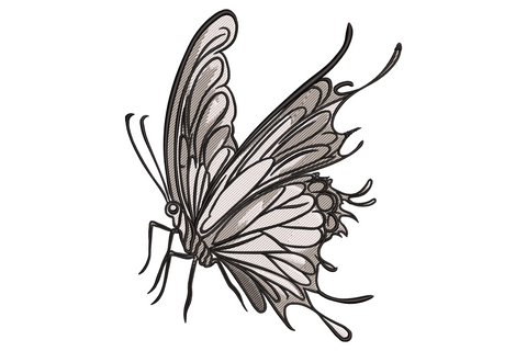 Machine embroidery design of a butterfly with intricate black line art wing detail on cream fill, scientific illustration style, 9 sizes up to 7.51 inches