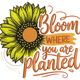 Bloom Where You Are Planted Embroidery Design, Instant Download