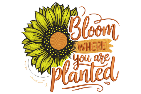 Bloom Where You Are Planted embroidery with half sunflower head on the left and rust orange script lettering on the right.